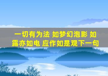 一切有为法 如梦幻泡影 如露亦如电 应作如是观下一句